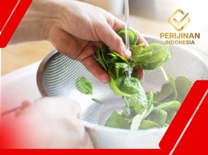 Sertifikat HSP